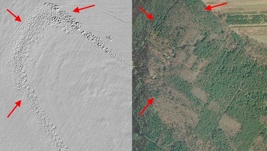 Krzemionki Opatowskie - Mapa LIDAR Źródło: Geoportal