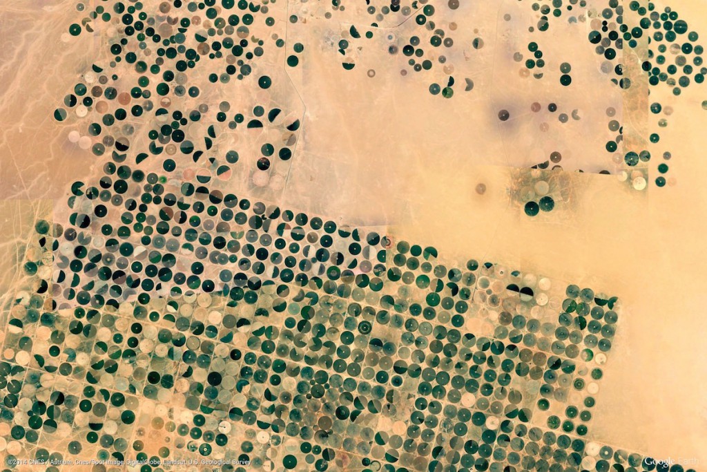 Pola uprawne w Arabii Saudyjskiej - Zdjęcia Ziemi Źródło: earthview.withgoogle.com