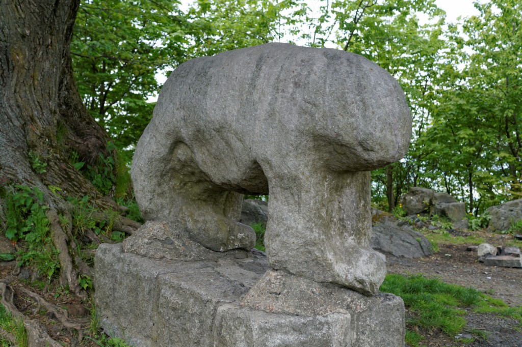 Niedźwiedź ze szczytu Ślęży - Starożytne rzeźby kultowe