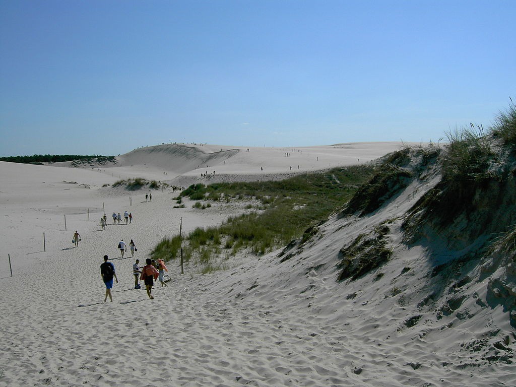 Wydma Łączka - Ciekawe Miejsca nad Morzem Batyckim - Foto: Klaus-Dieter Keller Źródło: commons.wikimedia.org Wydma Łączka - Ciekawe Miejsca nad Morzem Batyckim - Foto: Klaus-Dieter Keller Źródło: commons.wikimedia.org