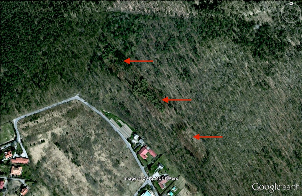 Katastrofa lotnicza w Lesie Kabackim - 10 Ciekawych Miejsc w Polsce - Źródło: Google Earth