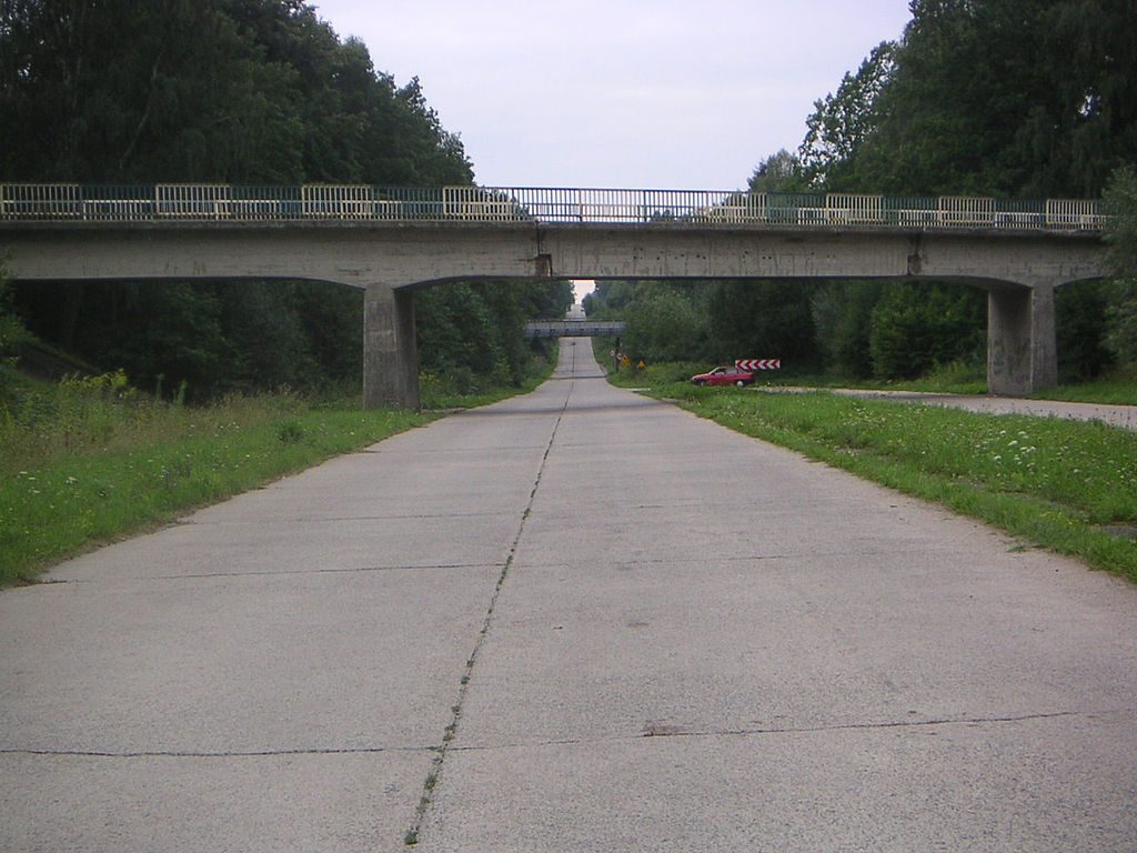 Żelbetowy wiadukt w okolicach Maciejewa, województwo zachodniopomorskie - Źródło: commons.wikimedia.org Foto: S99