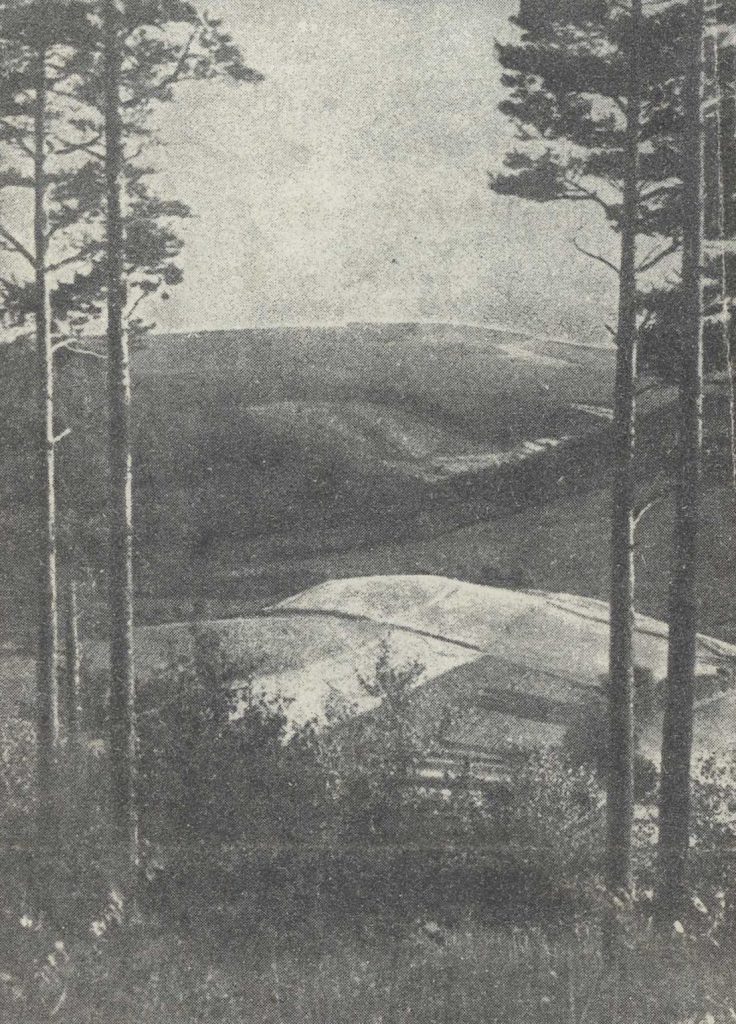 Fragment Gór Sowich - Bielawa, prawdopodobnie ul. Nowobielawska