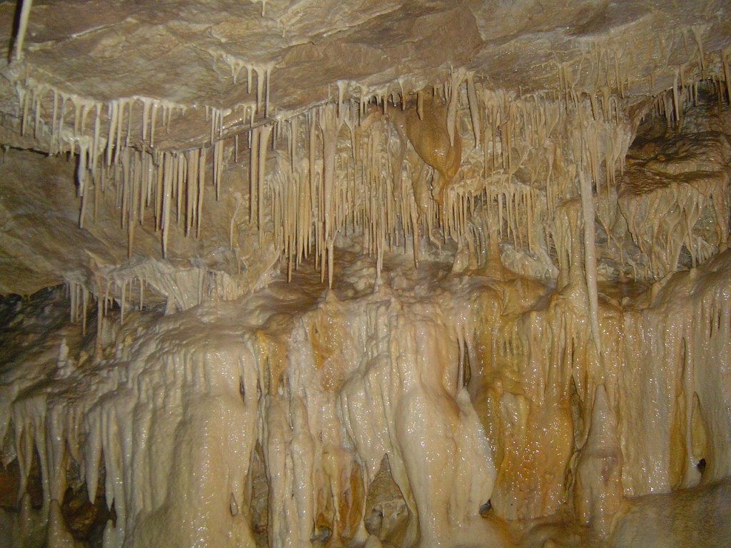 Jaskinia Niedźwiedzia - Foto: Ciacho5 Źrodło: commons.wikimedia.org