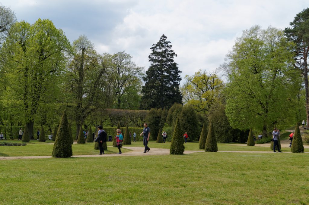 Zespół pałacowo-parkowy w Rogalinie