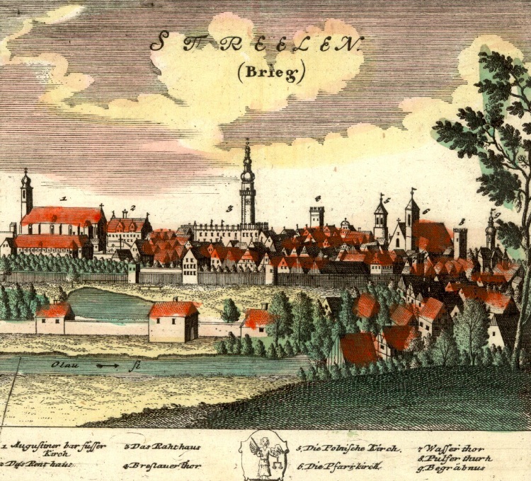 Strzelin (Streelen) - Rok 1737