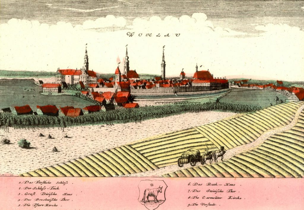 Wołów (Wohlau) - Rok 1737