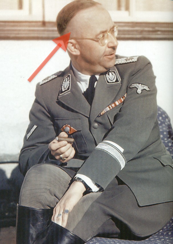 Reichsführer-SS Heinrich Himmler, jego wygolone boki zwiększały optycznie wysokość czoła