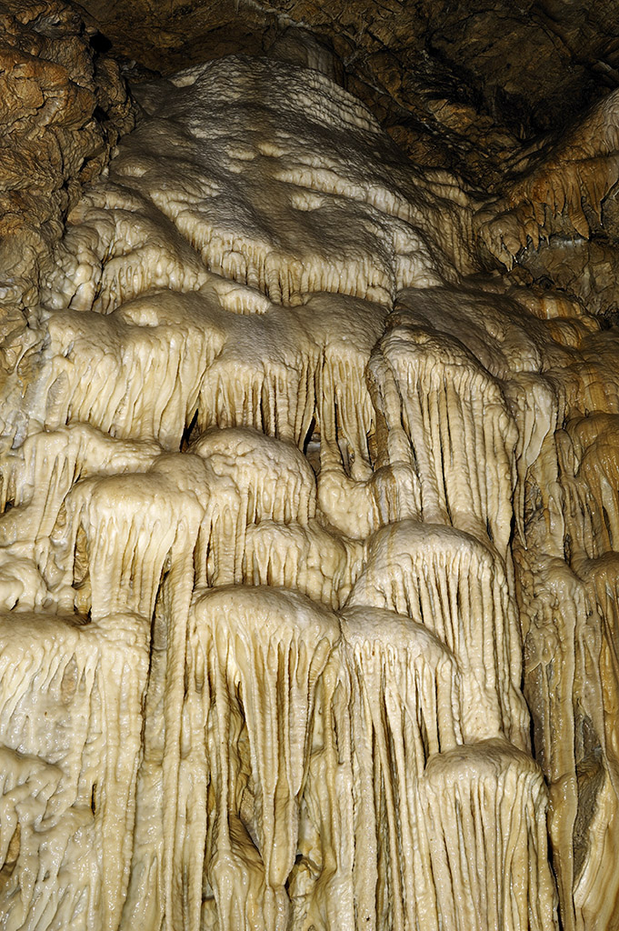 Jaskinia Niedźwiedzia znana jest z pięknej, bogatej i dobrze zachowanej szaty naciekowej