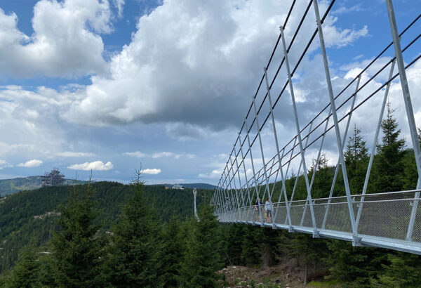 Konstrukcja mostu waży ponad 400 ton