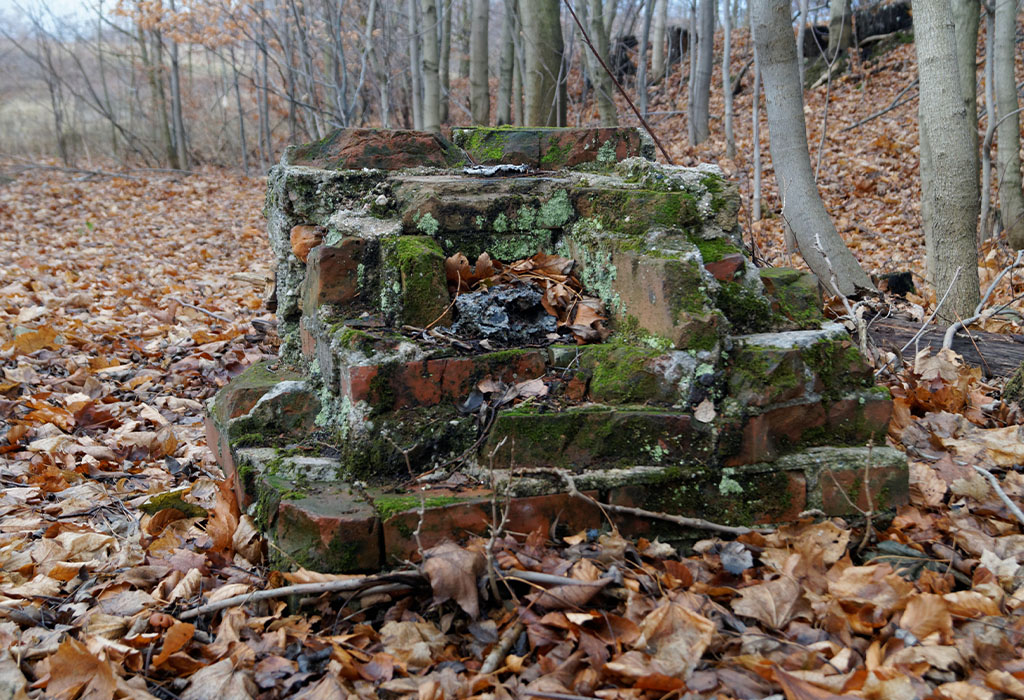 Pozostałości obozu nad głuszyckimi stawami Pozostałości obozu nad głuszyckimi stawami